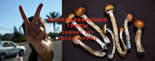 ECSTASY Алзамай