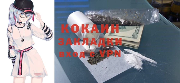 ECSTASY Алзамай