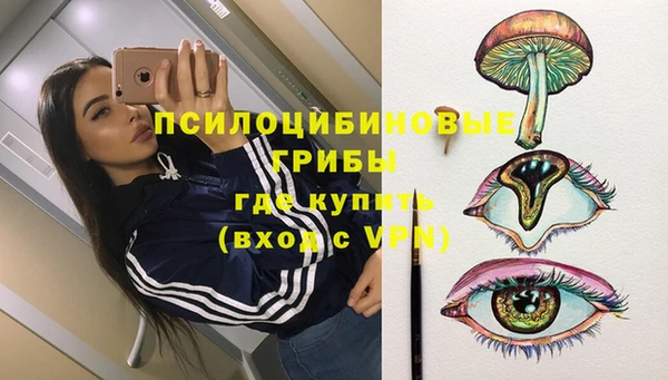 МДПВ Алексеевка